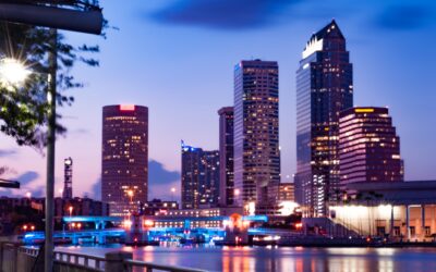 What To Do In Tampa & The Tampa Bay Area