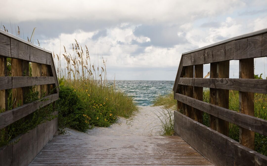 5 Best Ways to Experience Sarasota This Summer 2026